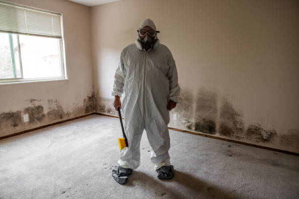 Best DIY Mold Remediation Support Services in Westhaven Moonstone, CA